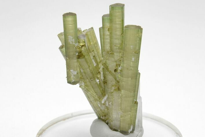 Pistachio-Green Elbaite Tourmaline Cluster - Skardu, Pakistan #207154